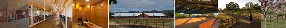 Templeton Farms Equestrian - Sporthorse - Breeding, Training and Sales.